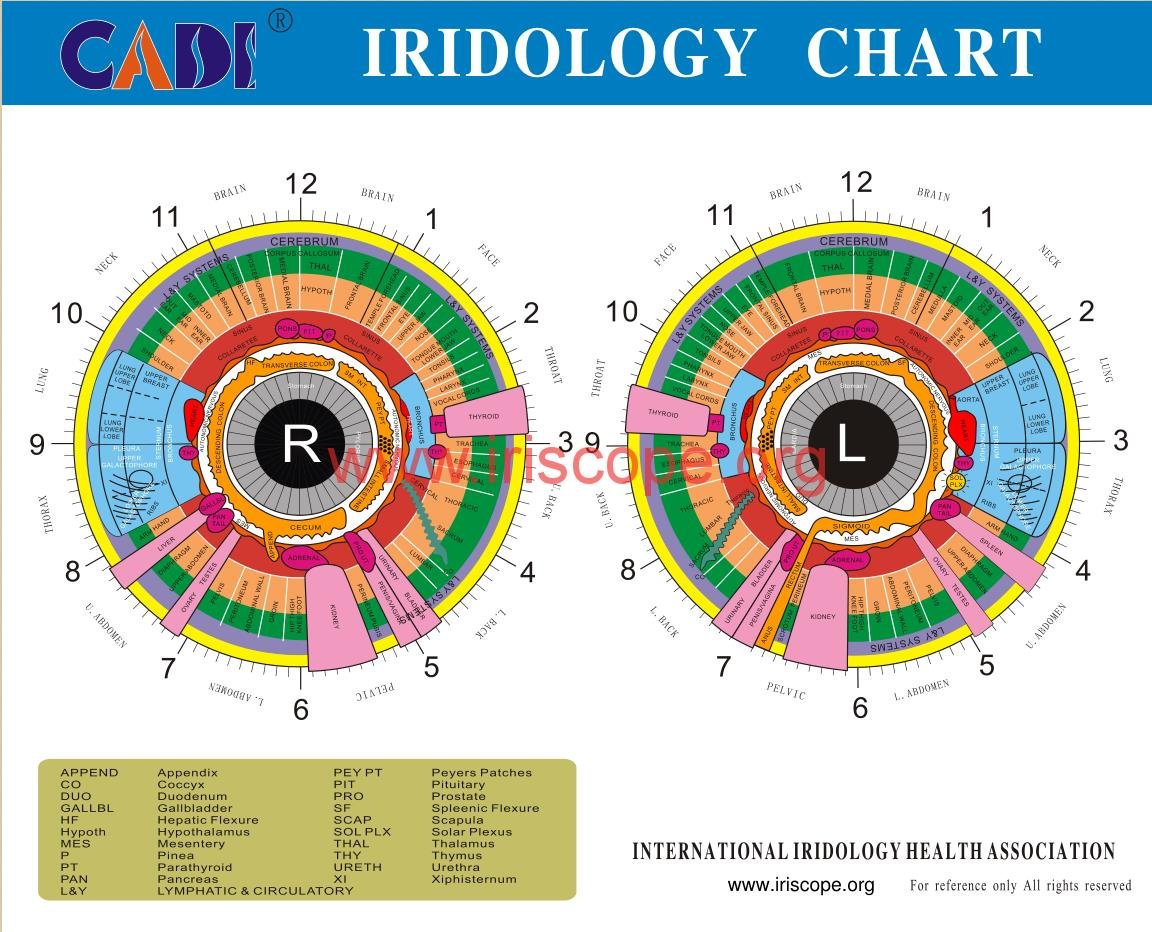 MAIKONG IRIDOLOGY CAMERA 2417