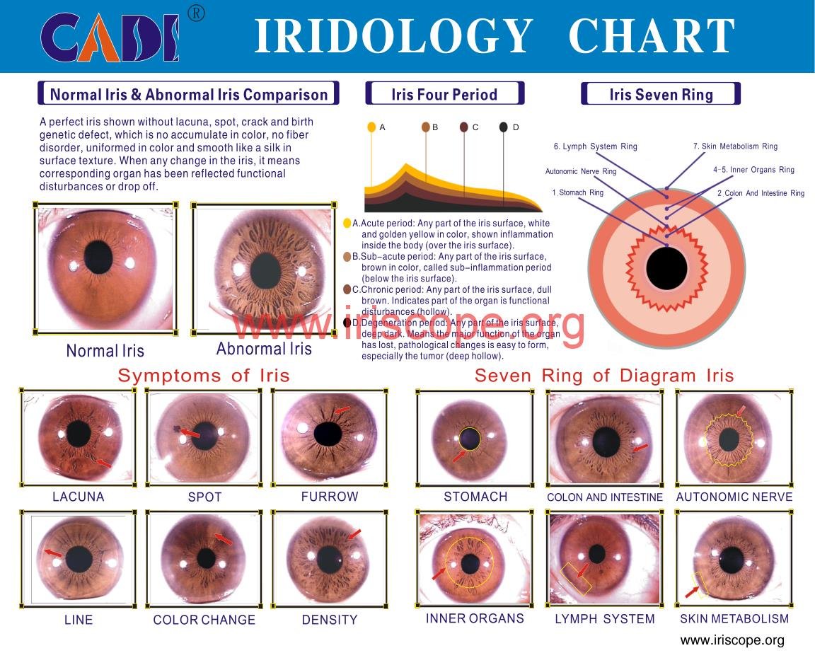 MAIKONG IRIDOLOGY CAMERA 2419