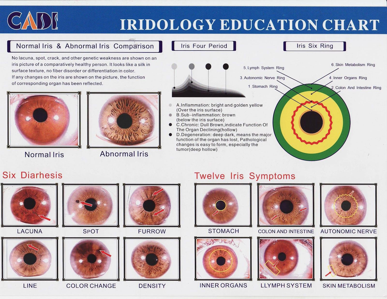 MAIKONG IRIDOLOGY CAMERA 2420