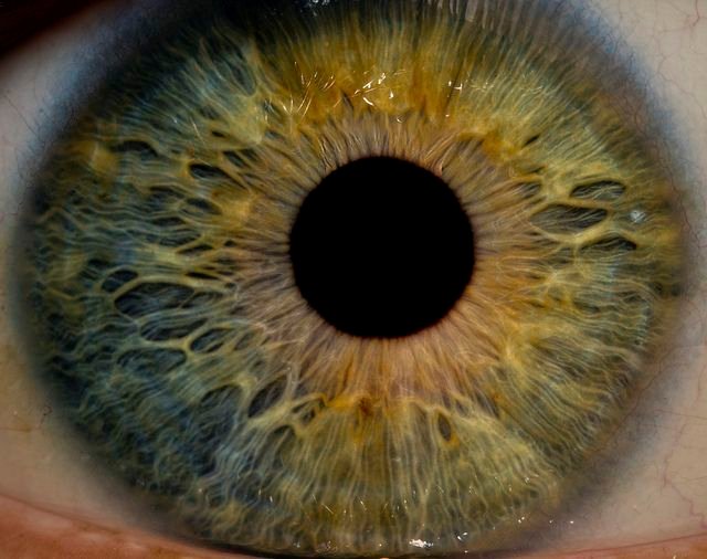 MAIKONG IRIDOLOGY CAMERA 2572