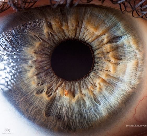 MAIKONG IRIDOLOGY CAMERA 2573