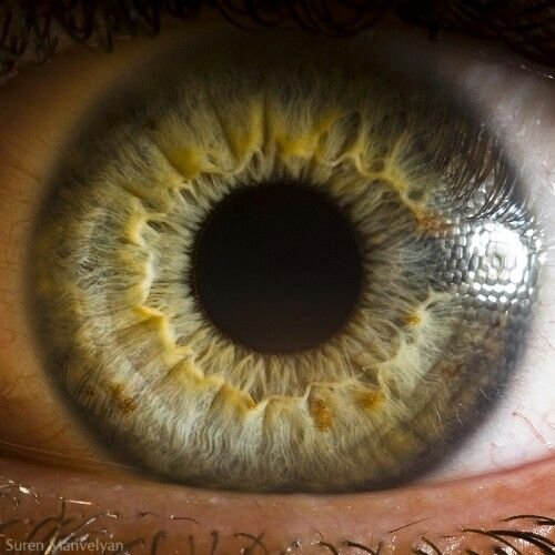 MAIKONG IRIDOLOGY CAMERA 2574