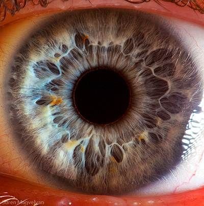 MAIKONG IRIDOLOGY CAMERA 2575