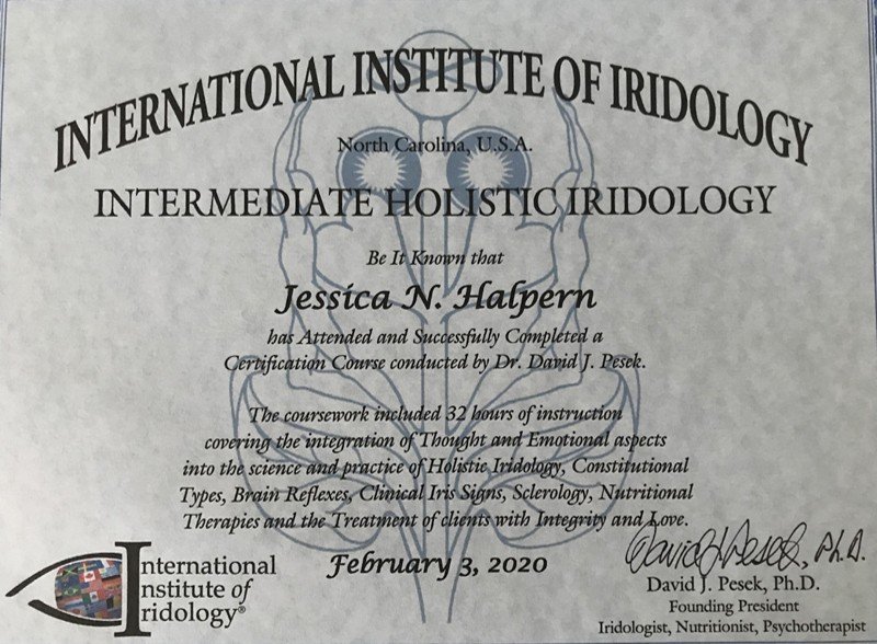 Certificacao em Iridologia 2