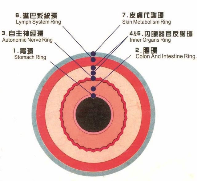 Chapter 3.0 The Iris Seven Rings Chart in Iridology