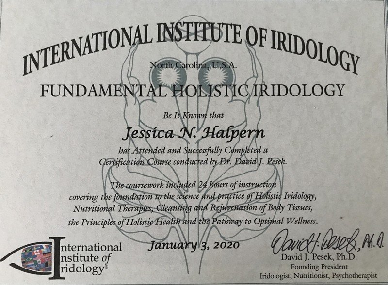 Escola de Iridologia: Uma Visão Geral Completa