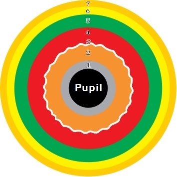 Ilustração da Iridologia – Capítulo 3: As sete zonas da íris