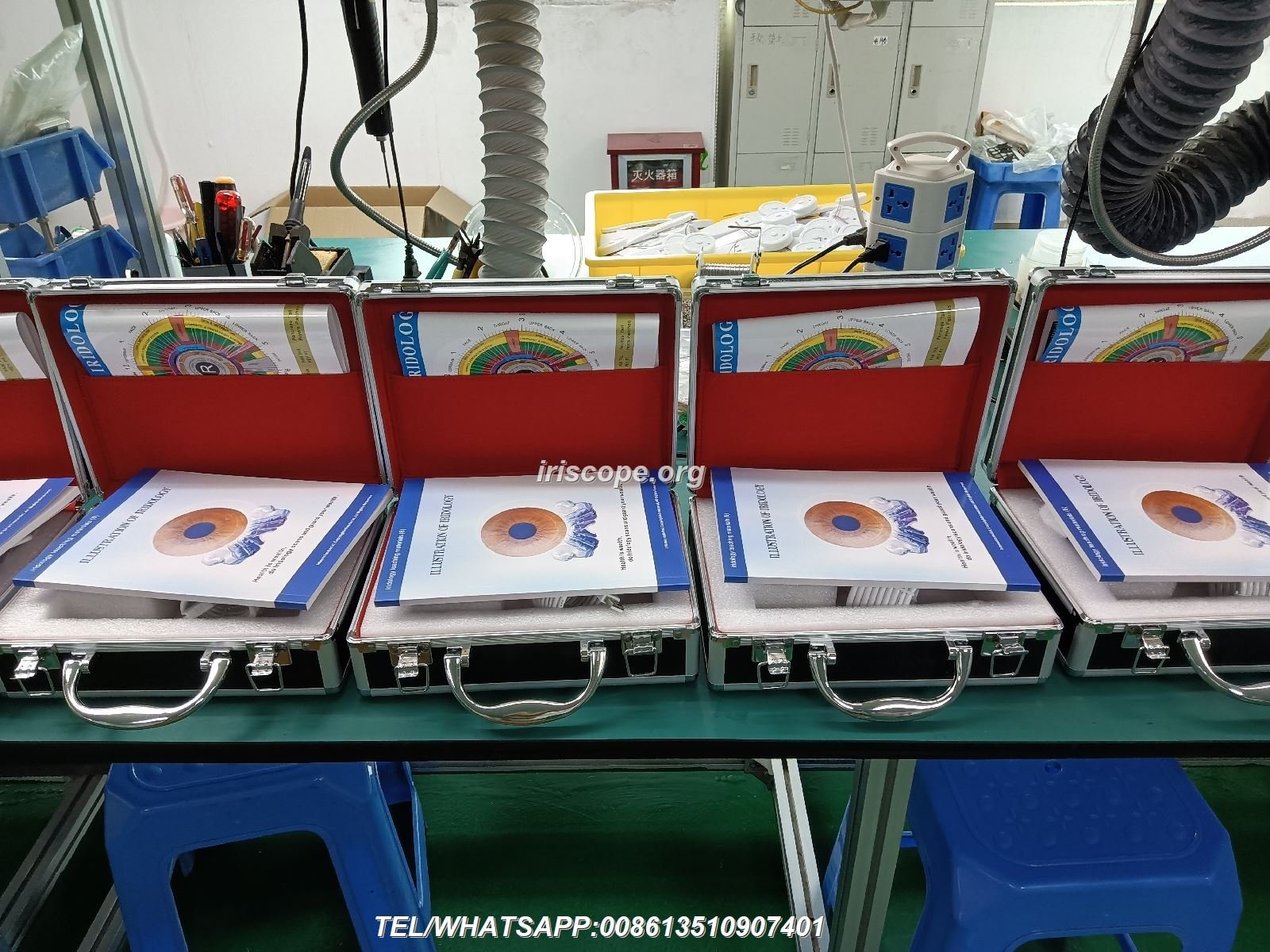 Mostrar imagens de iridologia: o que escolas e centros de formação em Portugal precisam saber 8 Amostra iridológica 3
