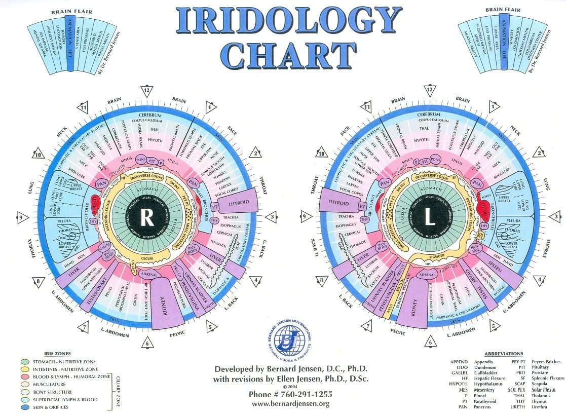 Pesquisar um mapa iridológico: o que os naturopatas em Portugal devem saber 2 Pesquisar um mapa iridológico: o que os naturopatas em Portugal devem saber — MAIKONG Iridology CHART (6).jpg