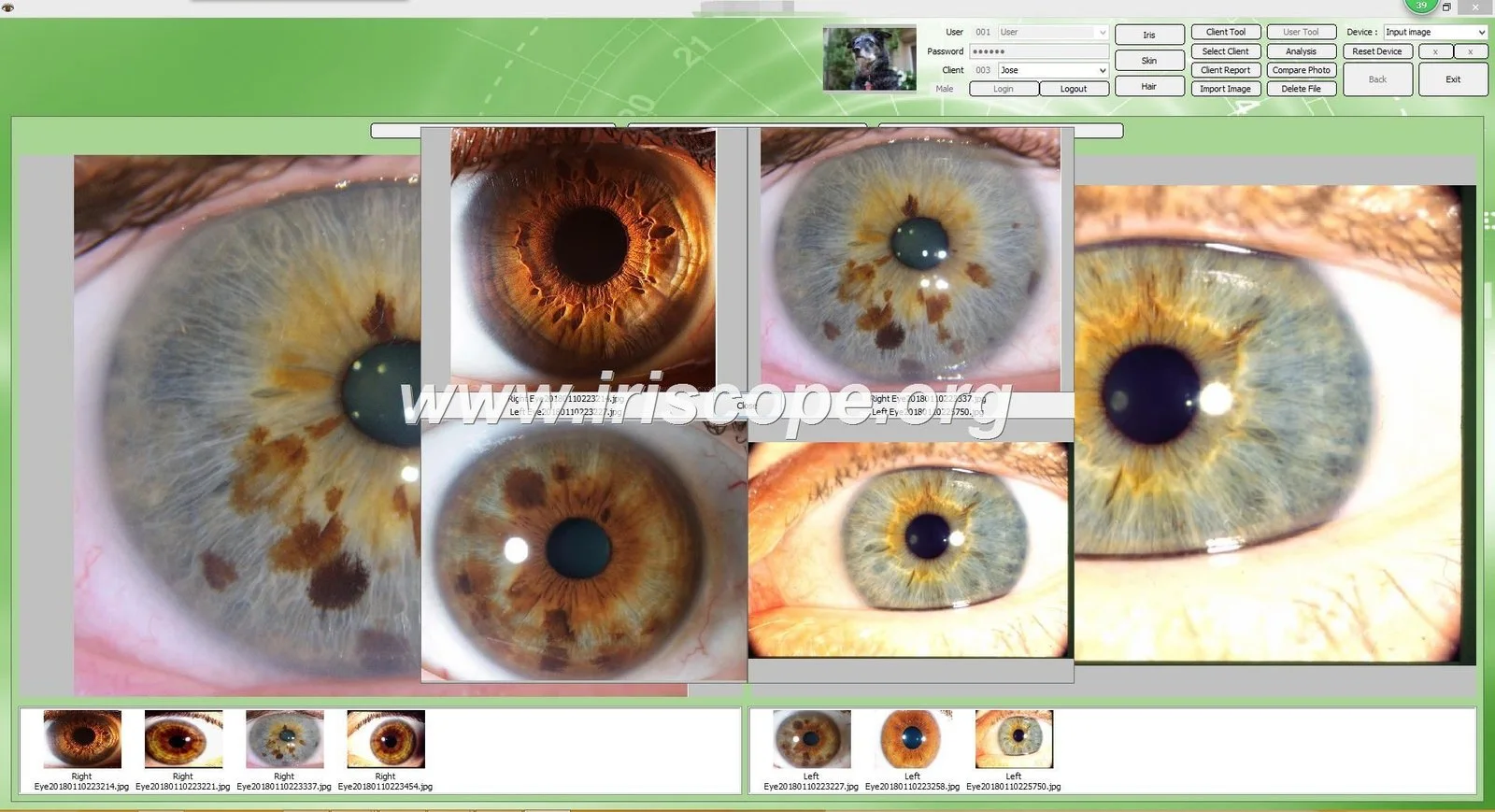 Como integrar software de iridologia em apresentações e aulas em Portugal — 027.JPG