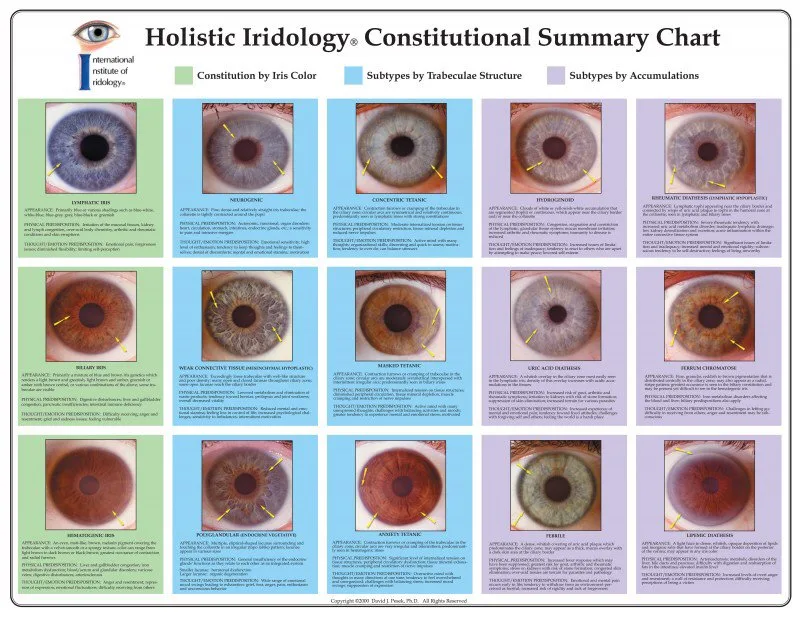 Mapa de iridologia: guia operativo para fornecedores de equipamentos em Portugal — how to read eyes iridology (4).jpg
